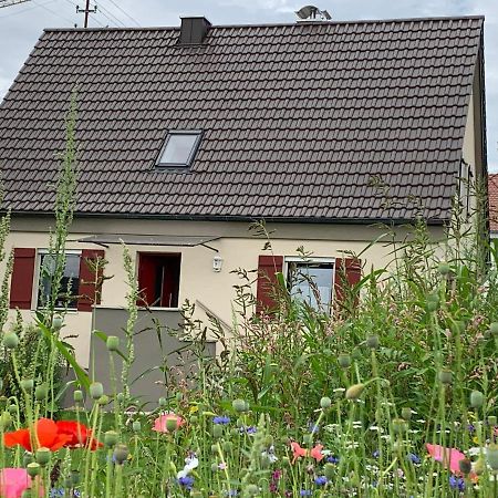 Ferienhaus Bei Lauingen, Mit Sauna Und Gartenlounge Veitriedhausen Екстер'єр фото