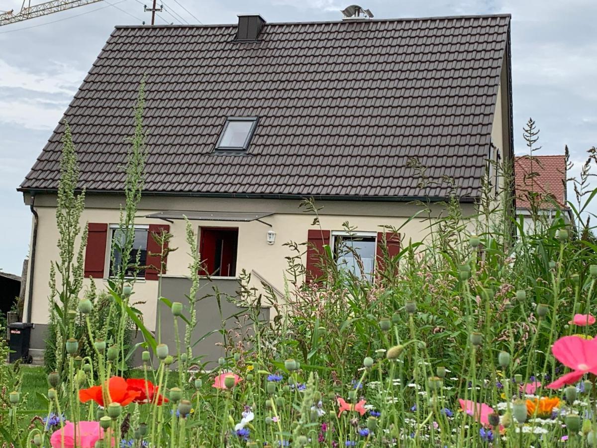Ferienhaus Bei Lauingen, Mit Sauna Und Gartenlounge Veitriedhausen Екстер'єр фото